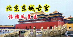 极品黑丝美女自慰出白浆中国北京-东城古宫旅游风景区